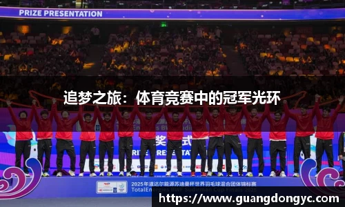 追梦之旅：体育竞赛中的冠军光环